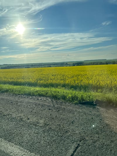 This media file depicts a scenic landscape under a bright, sunny sky with scattered, wispy clouds. The scene is dominated by a vibrant field of yellow flowers, likely rapeseed, stretching horizontally across the frame. To the right of the field is a dark, gravelly road, with a strip of bright green grass separating the road from the field of flowers. The sun is visible on the left side of the image, casting a bright glare and lens flare that illuminates the sky and contributes to a sense of warmth and clarity. In the distance, faint lines of trees and what appear to be buildings can be discerned, suggesting a rural or semi-rural setting. The perspective suggests the image was taken from a moving vehicle, perhaps a car, as it travels alongside the field. The overall impression is one of a beautiful, clear day in the countryside, likely during the blooming season of the rapeseed crop. No people, objects, or text are clearly identifiable within the frame. The time of day appears to be late morning or early afternoon, given the intensity of the sunlight and the position of the sun in the sky. The weather is clearly fair and sunny. The location context provided is Ulukulevo, Russia, which aligns with the rural agricultural landscape depicted.