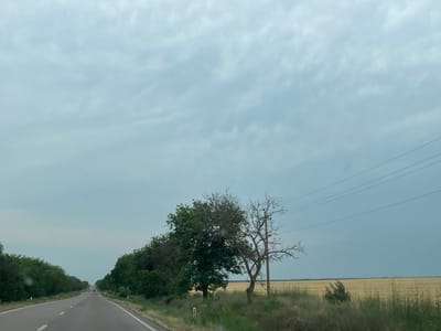 The media file depicts a view from a car traveling on a road in Cealîc, Moldova. The scene is an overcast day, likely in the afternoon, with a muted sky filled with grey clouds. The road stretches into the distance, lined on both sides by dense green trees. Beyond the trees on the right, a vast, golden field of dry crops extends to the horizon.

In the foreground on the right, a stark, bare tree stands next to a greener, fuller tree, with power lines running overhead. The road has white lane markings and a few cars are visible in the distance, suggesting ongoing travel. The overall atmosphere is tranquil and somewhat somber due to the cloudy weather. There is no visible text in the media file.