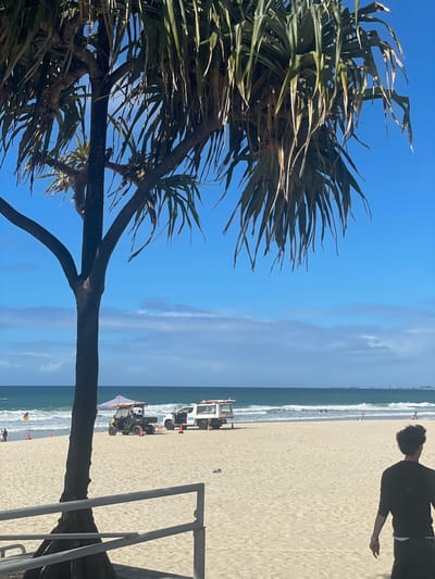 The image shows a beach scene in Surfers Paradise, Australia, on a bright, sunny day. In the foreground, a dark-barked tree with long, frond-like leaves partially obscures the view of the sand and ocean. A white metal railing runs horizontally across the bottom of the image.

The sand is light in color and appears relatively flat, with some footprints visible. Further back on the beach, there are two vehicles and an umbrella. One vehicle is a dark-colored all-terrain vehicle (ATV) with a canopy, and the other is a white utility truck with an open back. Orange traffic cones are placed around the vehicles. To the left, a red and yellow beach safety flag is planted in the sand, and two people are standing near it.

The ocean is a deep blue-green, with moderate waves breaking on the shore. Several people are visible in the water, either swimming or bodyboarding. In the distance, a faint skyline of buildings can be seen along the coast.

On the right side of the image, a person wearing a dark shirt and dark pants is walking away from the camera, towards the beach and ocean. The sky is a clear blue with scattered, wispy clouds. The overall impression is a typical day at a popular Australian beach.