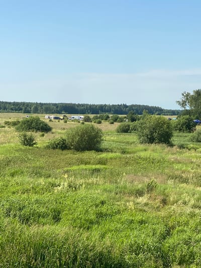 The image captures a rural landscape under a clear blue sky. In the mid-ground, a cluster of white recreational vehicles and tents are set up in a grassy field, suggesting a campsite or gathering. Surrounding the vehicles are scattered green bushes and trees. The foreground and mid-ground are dominated by tall, green grass and various wild plants. In the far distance, a dense line of trees forms the horizon, with a few scattered trees in the middle distance. The overall scene depicts an outdoor recreational area in a natural setting.