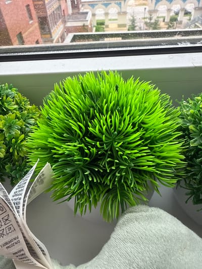 This is a close-up, vertical photograph of artificial plants placed on a windowsill, viewed from the interior of a room. The primary subject is a bright green, spiky artificial plant that fills the center of the frame. To its left, a window shows a blurry view of buildings and trees, suggesting an urban or suburban setting. The windowpane appears to have some condensation or smudges. Below the main plant, a smaller, denser artificial plant is partially visible. To the right of the main plant, a portion of a soft, light-colored object, possibly a stuffed toy or pillow, is in the background, along with a white fabric tag with printed text.
The text on the tag includes laundry care symbols (a washing symbol with "40", a symbol for bleaching, and a symbol for ironing) and appears to be in multiple languages, with "Indonesia" and "Hecho en" (Made in) visible, suggesting the origin of the item attached to the plant. The lighting suggests it is daytime, likely overcast or indirect sunlight due to the soft illumination. The scene is static and appears to be a decorative arrangement in a residential setting. There are no people visible in the image.