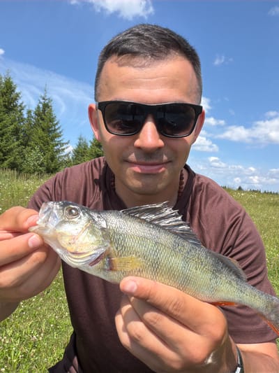 A man wearing sunglasses and a brown t-shirt holds a small, caught fish in his hands outdoors. The man's face is partially obscured by sunglasses. The fish, which is green and yellow with visible fins, is held horizontally in front of the man's chest. The background is a sunny, outdoor scene with a bright blue sky, white clouds, green trees, and a grassy field dotted with small white flowers. The location is identified as Podshivalovo, Russia.