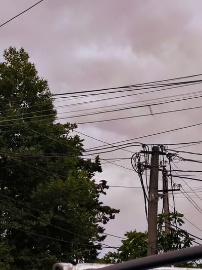 This is a medium shot, low-angle, vertical, full-color photograph taken outdoors in Charnali, Georgia, on a cloudy day. The image features a tangle of electrical wires crisscrossing the frame. In the left portion of the image, a large, leafy green tree occupies the majority of the space. To the right, a concrete utility pole with numerous electrical wires attached is visible. Two smaller trees with green foliage are situated below and to the right of the utility pole. The sky above is overcast with a pale purple hue. A single strand of what appears to be hair or a thin fiber hangs from one of the electrical wires in the upper center of the frame. The foreground shows a dark, horizontal railing or structure.