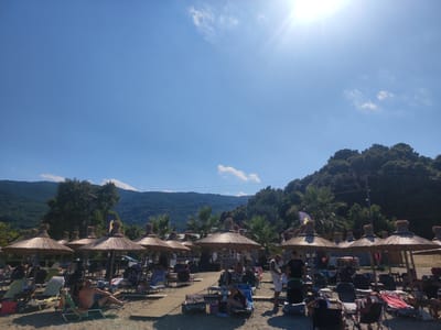 The image depicts a beach scene in the Municipal Unit of Melivia, Greece, on a sunny day. The foreground is a sandy beach with numerous thatched umbrellas and lounge chairs set up for sunbathers. Several people are visible relaxing on the chairs, some under the umbrellas. In the middle ground, there are more lounge chairs and umbrellas, with some structures that appear to be small beach bars or changing rooms. Palm trees and other lush green vegetation are scattered throughout the area. Beyond the beach, a densely forested hillside rises up, forming a backdrop to the scene. The sky is clear and blue with a bright sun shining from the upper right corner, casting a lens flare. Power lines are visible against the trees on the hillside.