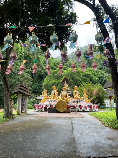 The image depicts an outdoor religious display in Chiang Dao, Thailand, centered around a collection of golden Buddha statues. A wet, dark gray paved path occupies the foreground, extending towards a raised white platform in the midground. This platform, adorned with red and white stylized motifs, supports seven golden Buddha statues in seated meditative postures. The central rear statue is larger and features a multi-headed golden Naga rising behind its head. A large, ornate golden Dharma wheel rests on a low brick base to the left of the platform, with a partially visible second wheel on the right. To the left of the statues, a tiered, grey-roofed structure with white columns houses a large, circular dark metal gong.

Overhead, multiple lines of string stretch between prominent trees framing the scene, from which numerous polygonal lanterns in teal and purple, adorned with gold detailing and dangling fabric strips, are suspended. Small triangular pennant flags in various solid colors and several Thai national flags are also strung along these lines. Lush, dense green tropical foliage and hills form the background under an overcast sky. A section of a white building with a dark roof is partially visible on the right side of the midground. No individuals are present in the scene.