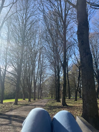 The image shows a pathway lined with bare trees in Maastricht, Netherlands. The trees cast shadows on the path, and some grass is visible on either side. In the background, the branches of the trees form a dense network against a blue sky. In the top right corner, a portion of someone's legs, clad in light blue denim jeans, is visible.