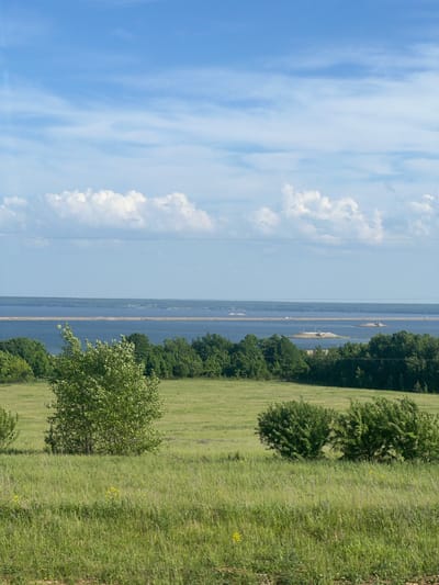 The image presents a landscape view of Белоус, Russia. The sky, with a mix of blue and white clouds, covers the left portion of the frame. Adjacent to the sky, a body of water, likely a river or a lake, extends horizontally across the middle, bordered by a thin land strip in the distance. The right side of the image depicts a grassy field dotted with trees and bushes. The field has varying shades of green, suggesting different types or conditions of vegetation.