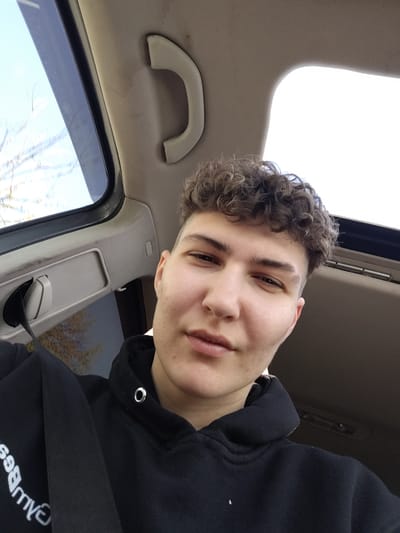 A young man takes a selfie inside a car during what appears to be a bright, clear daytime. He occupies the lower-right and central part of the vertical frame, looking directly at the camera with a neutral expression and a slight smirk. He has short, curly brown hair with faded sides and dark eyebrows. He is wearing a black hooded sweatshirt, and a black seatbelt crosses his chest. A silver metal eyelet is visible on his hoodie near the collar. Inverted white text, possibly reading "myBest", is visible on the front of his hoodie, partially obscured by the seatbelt.
The setting is the interior of a car. A light-colored (beige/grey) headliner and a grab handle are visible on the right side of the frame. Above the man's head and to his right, a sunroof is open, letting in bright, clear light. Another window or sunroof section on the left side of the frame shows a clear blue sky and bare tree branches, suggesting a season like late autumn or winter. The bright light indicates sunny weather. The location context provided is Borisovo, Bulgaria.