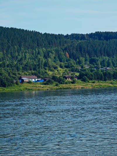 A vertical, eye-level, medium shot captures a wide river in the foreground, with rippling, dark blue water reflecting a clear, pale blue sky. The riverbank on the far side is lined with a dense, green forest that ascends a hill. Several small, wooden houses with dark roofs are scattered along the riverbank, nestled amongst the trees and greenery. One house, painted white with blue trim, stands out. The scene appears to be set in the city of Predivinsk, Russia, given the typical landscape of a river running through a forested area with rural settlements. The overall impression is one of a serene, natural landscape with a touch of human habitation.