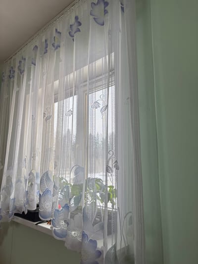 The image shows a window covered with white, floral-patterned curtains. Behind the curtains, a plant is visible on the windowsill. The room has light green walls. It's not possible to determine the specific location within Zapadnaya, Russia, or gather any other details about people, subjects, actions, or interactions from this image alone.
