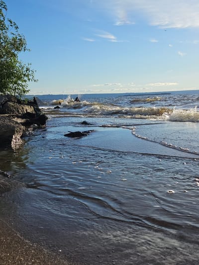 The image depicts a natural scene of a shoreline on a sunny day. In the foreground, dark wet sand meets shallow, calm water with small bubbles on the surface. The water is clear enough to show subtle ripples and a few dark, flat objects submerged just below the surface. To the left, large, dark rocks form a barrier, with a leafy green tree branch extending from the upper left corner, its leaves catching the light.
Beyond the rocks, the water becomes choppier, with waves breaking and splashing. In the middle ground, several figures are visible in the water, with one appearing to be on some sort of recreational equipment, possibly a jet ski or a small boat, creating a significant splash. Further in the distance, a hazy shoreline is visible, lined with what appears to be trees and structures. The sky above is a bright blue with scattered white clouds, and a faint silhouette of a bird can be seen in the upper right portion of the sky. The overall impression is a vibrant, natural landscape with human activity present on the water. The location is specified as the city of Leninsky, Russia.