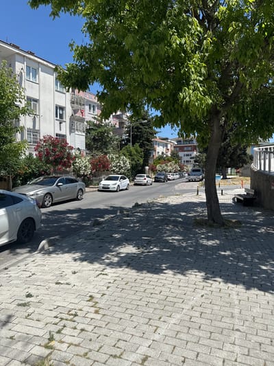 In Büyükçekmece, Turkey, a sun-drenched street scene unfolds. The paved sidewalk, made of interlocking grey bricks, is partially shaded by a large tree with lush green leaves. Sparse weeds are growing between the paving stones. On the street, several cars are parked and in motion. A silver sedan is parked on the left, followed by a white hatchback, a dark-colored sedan, and a white compact car. Further down the road, a light-colored van with a trailer is visible. Adjacent to the sidewalk, a low stone wall topped with a white railing lines the street. In the background, a multi-story building with white and pink facades stands behind flowering bushes with red and white blooms. Another building with a grey and white exterior is visible further down the street. The sky is clear and blue.