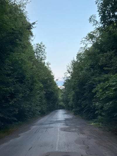 The image depicts a wet, grey asphalt road that curves gently into the distance, flanked by dense, dark green trees on both sides. The trees form a tunnel-like effect, with their foliage meeting overhead, creating a shadowed passage. The sky above is a pale blue with a hint of grey clouds. There are no people or animals visible in the image. The scene appears to be a rural or natural setting, possibly a road in a forested area. The location in Naraiv, Ukraine is not discernible from the visual information provided in the image.
