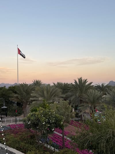 The image captures an outdoor, landscaped environment in Hatta, United Arab Emirates, during twilight, characterized by a sky gradient from light blue overhead to peach and light orange at the horizon. A prominent, tall flagpole stands in the upper left quadrant, displaying the national flag of the United Arab Emirates, which features horizontal black, white, and green stripes with a vertical red stripe on the hoist side. A narrow, elongated cloud is visible horizontally across the sky. The middle ground is dominated by a dense cluster of mature palm trees. In the distant background, a range of mountains is faintly visible against the horizon. The foreground showcases a manicured garden area with extensive flowerbeds primarily featuring vibrant pink and purple blossoms. Various green shrubs and smaller trees, including one with white flowers, are interspersed. A black, ornamental street lamp is partially visible on the far left, below which a string of white spherical decorative lights hangs. Paved pathways are discernible winding through the greenery, alongside a reddish-brown path. In the lower right, partially obscured by foliage, a structure with green and blue illuminated elements is present, displaying a smaller UAE flag. No individuals are visible within the scene, which appears static.