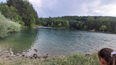 This media file captures a serene natural landscape in Dobrotino, Bulgaria, featuring a tranquil lake surrounded by lush, dense forestation. The water of the lake is a deep green, with gentle ripples on its surface, suggesting a calm atmosphere. Along the shoreline, there are several ducks, some appearing to be adults and others ducklings, gathered near the muddy bank. The bank itself is a mix of soil, pebbles, and sparse green grass dotted with small white wildflowers.

On the left side of the image, a large, bushy green tree or shrub leans over the water. The background is dominated by a thick forest of evergreen trees, with some deciduous trees interspersed, climbing up rolling hills. The sky above is overcast, with dramatic grey clouds, hinting at a possibility of rain or recent showers. The time of day appears to be late afternoon or early evening, given the soft lighting and the subdued tones of the sky.

In the foreground, partially visible on the right, is the back of a young girl's head. Her brown hair is tied back with a light purple scrunchie. Her presence adds a human element to the natural scene, suggesting someone is enjoying the peaceful environment. The overall mood of the image is one of quiet contemplation and natural beauty. There are no visible signs or text in the image. The scene conveys a sense of peace and connection with nature.
