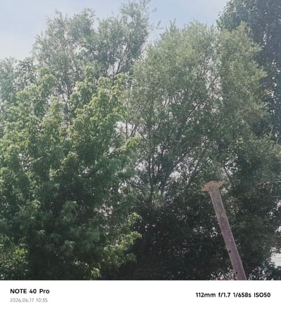 The image is a medium shot taken outdoors, looking up at lush green trees against a bright, slightly hazy sky. The foliage is dense, with varying shades of green indicating different types of trees or levels of sunlight. In the lower right quadrant, a weathered, gray, vertical object, possibly a pole or tree trunk, juts into the frame. It has a rough texture and appears to be discolored with darker patches. The bottom portion of the image contains text, indicating the device "NOTE 40 Pro", a date and time "2026.06.17 10:35", and camera settings "112mm f/1.7 1/658s ISO50". There are no people or animals visible in the image. The environment appears to be natural, likely a park or a wooded area within the city of Kyzyl-Yulduz, Uzbekistan.