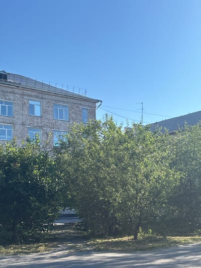 A medium shot captures a clear, bright sky above a building and trees in Belovo, Russia. The building, constructed of light-colored brick, has multiple windows with white frames. A pitched roof with dark shingles is visible. In front of the building, a dense arrangement of lush green trees partially obscures the lower floors. The ground in front of the trees appears to be a path or road. The overall scene suggests a sunny day with a residential or institutional setting.
