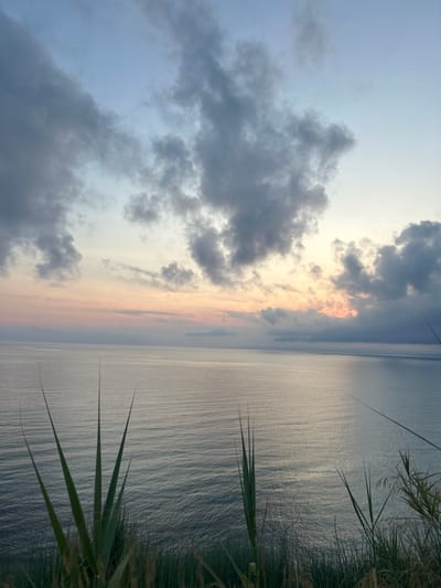 A serene ocean landscape is captured at dusk, viewed from a clifftop in Castellammare del Golfo, Italy. The foreground is dominated by tall, green blades of grass and other vegetation, silhouetted against the vast expanse of the sea. The ocean itself is calm, with gentle ripples creating a textured surface that reflects the soft light of the setting sun. The horizon is clearly defined, separating the water from the sky.
The sky is a canvas of soft colors, transitioning from a pale blue at the top to delicate shades of pink and orange near the horizon, indicative of a sunset or sunrise. Scattered clouds, some dark and heavy and others wispy and translucent, drift across the sky, adding depth and drama to the scene. The overall atmosphere is peaceful and tranquil, highlighting the natural beauty of the coastal environment. No people or specific man-made structures are visible in this image.