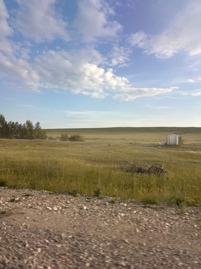 The image depicts a vast, open grassland under a pale blue sky with scattered white clouds. In the distance, a low, rolling horizon is visible. On the right side of the image, there is a small, weathered white structure, possibly a silo or water tower, with some surrounding vegetation. To the left, a line of trees or tall shrubs forms a dark green band across the landscape. In the foreground, a gravelly, uneven surface suggests a rural road or path. The overall scene conveys a sense of natural, uncultivated space. There are no people or visible signs of recent human activity besides the distant structure and the foreground path. The lighting suggests it is either early morning or late afternoon, with a soft, diffused sunlight. The location is identified as Novonikolaevka, Russia.