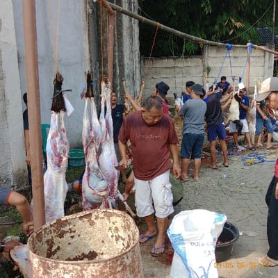 The image shows a group of men butchering goats in a residential area. The goats are hanging from a makeshift structure made of wood and rope. The men are wearing casual clothing and some are using knives to cut up the meat. There is a large plastic container and a bag of sugar nearby. The scene is set in an outdoor area with a cement floor, a wall with a green vine and a metal fence in the background. It is likely that this is a traditional practice for a religious festival such as Eid al-Adha. The coordinates -6.276, 106.55 place this scene in Kecamatan Panongan, Indonesia.