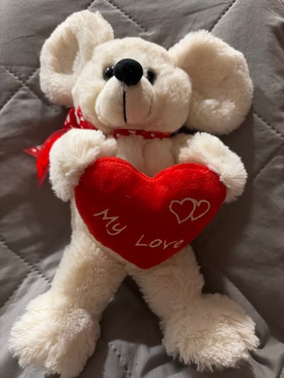 A white stuffed bear with large ears and a red scarf with white polka dots is holding a red heart that says "My Love" in white cursive. The bear is sitting on a gray, quilted surface. The location is not visible in the image, therefore it cannot be identified in Oxentea, Moldova.