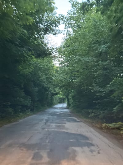 The image shows a rural road lined with dense green trees. The road appears to be paved and slightly worn, with some patches and cracks visible. The trees form a canopy over the road, creating a tunnel-like effect. The foliage is lush and appears to be in full bloom, suggesting a summer or late spring setting. The lighting is somewhat dim, possibly indicating an overcast day or late afternoon. There are no people or vehicles visible in the image. The scene evokes a sense of natural beauty and tranquility.