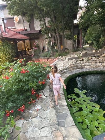 A young girl with blonde hair in a ponytail, wearing a light-colored, patterned t-shirt and pink shorts, walks along a stone path next to a pond in a backyard. The path curves around the pond, which is filled with dark water and lily pads. Lush green foliage and red flowers, possibly trumpet vines, are abundant to the left of the path. Behind the foliage, a rustic house with a red-tiled roof and a chimney with smoke emanating from it is visible. Trees with dense green leaves surround the property, creating a natural, slightly overgrown ambiance. The scene suggests a peaceful outdoor setting. The location is identified as Myskhako, Russia.