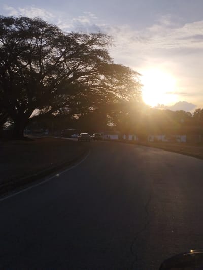 The image shows a road in Campo Carabobo, Venezuela at sunset. The sun is brightly shining through the branches of a large tree to the left of the road. Several cars are parked along the side of the road. On the right side of the road is a long, low white building. The road is paved and appears to be cracked in places. The lighting suggests late afternoon or early evening. No people are visible in the image.