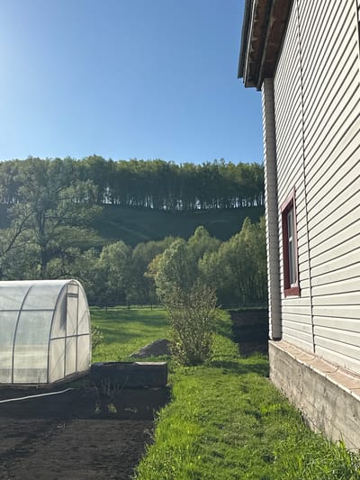 A daytime shot in Ермолкино, Russia, shows a landscape with a clear blue sky above a line of trees in the distance, giving way to an area of grass with a greenhouse on the right side. A section of a light-colored building with horizontally lined siding and a small red-trimmed window is visible in the upper-left quadrant. Adjacent to the building is a strip of grass. To the right of the greenhouse is what appears to be a patch of dark soil.