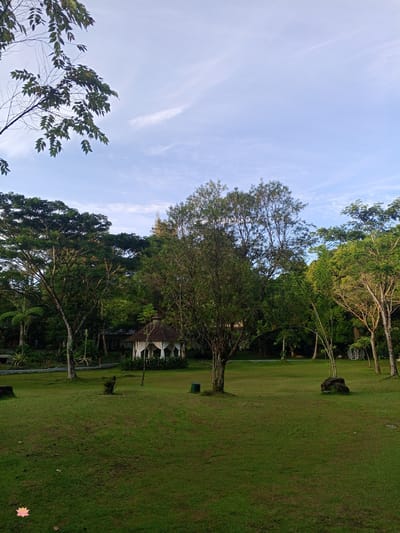 The image depicts a serene outdoor scene in Durin Serugun, Indonesia, characterized by lush green grass, mature trees, and a clear sky. In the mid-ground, a charming gazebo with white curtains stands amidst the foliage. The foreground is dominated by a manicured lawn, with a few scattered leaves and rocks. In the background, a dense line of trees forms a natural boundary, suggesting a park or garden setting. The lighting suggests it is either early morning or late afternoon, with soft shadows cast across the landscape. There are no people or animals visible in the frame.