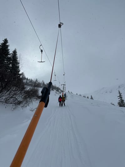 The image presents a snow-covered mountain slope in Bad Gastein, Austria, viewed from the perspective of an individual using a T-bar ski lift during light snowfall under an overcast grey sky. An orange ski lift pole with a black handgrip extends diagonally from the lower left towards the upper right foreground. Overhead, multiple T-bar mechanisms hang from a thick overhead cable, supported by several visible pylons ascending the slope. Directly in front, two individuals are being pulled uphill by a shared T-bar lift. The person on the left wears a dark jacket and red ski pants, while the person on the right wears a light brown jacket and dark pants; both are equipped with skis. Cleared ski tracks are evident in the snow leading up the incline. Coniferous trees and bare deciduous bushes line the left side of the slope, with additional scattered conifers visible on the right. Distant snow-covered mountainous terrain is faintly discernible against the muted sky.