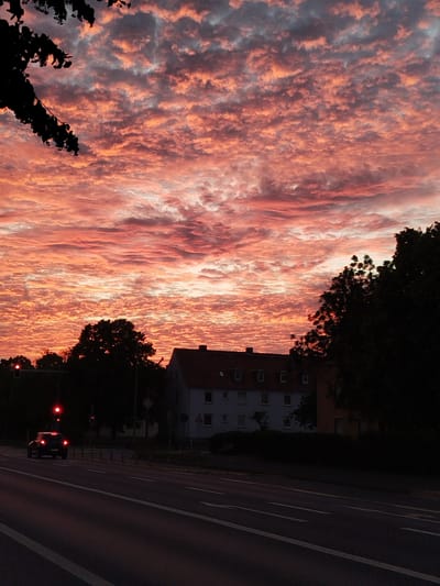 This is a vertical, medium-shot, eye-level photograph of a city street at sunset, likely in Kitzingen, Germany, given the available metadata. The sky is a dominant feature, filled with a dramatic sunset displaying vibrant orange and pink hues against a backdrop of grey clouds. A dark silhouette of tree branches frames the upper left corner.

In the foreground, a two-lane asphalt road runs horizontally across the bottom of the frame. White lane markings are visible. A dark-colored car is driving away from the viewer in the left lane, its taillights illuminated. Across the road, on the right side, is a sidewalk and then a row of dark green trees. Behind the trees, a multi-story building with a reddish-brown tiled roof is visible, featuring multiple windows. Traffic lights are present, with at least one showing a red light. The overall lighting suggests dusk or dawn.