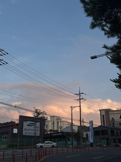 The image shows a street scene in Pocheon-si, South Korea, during what appears to be sunset. The sky is a mix of blue and pinkish-orange clouds. Overhead, power lines crisscross the frame, supported by utility poles. A tall pine tree is visible on the right side of the image, partially obscuring a street lamp.
In the middle ground, there are several buildings. A prominent building on the left features a large sign with "SAMSUNG" in English and Korean text below it, along with a phone number "031-541-1700~2". Another building to its right has a vertical sign that also appears to be in Korean. Further to the right, a building with "HOTEL" visible on its facade is situated. A dark-colored car is parked in front of one of the buildings. In the foreground, a street is visible with orange traffic cones lining the side. The overall impression is a view of a commercial or residential area of the city as day transitions to evening.