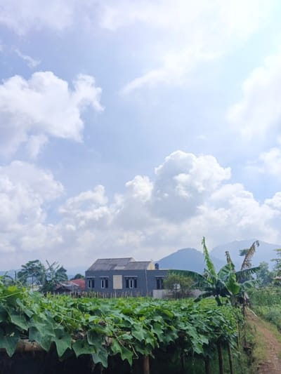 A two-story gray building with a metal roof stands in the middle ground. A lush, green field with crawling plants fills the foreground. A line of trees and banana plants are on the right of the building. In the background, mountains are visible, partially obscured by clouds. The sky is filled with fluffy white clouds, illuminated by sunlight. A dirt path is seen on the far right, marking the edge of the field.