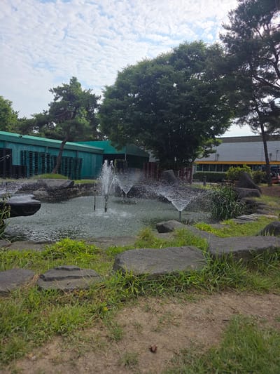 This image depicts an outdoor scene in Soseok-ri, South Korea, featuring a small pond with a fountain. The pond is surrounded by large, dark gray rocks and lush green grass. In the background, a green building with stacks of dark green pallets is visible, along with several mature trees, including a prominent pine tree and a large deciduous tree with dense foliage. Beyond the green building, a white and yellow industrial-style building with a yellow band runs along its length. The sky is partly cloudy with scattered white clouds against a blue backdrop. The ground in the foreground is a dirt path with patches of grass. The fountain in the pond is actively spraying water, creating a dynamic element in the otherwise static landscape. No people are present in the image.