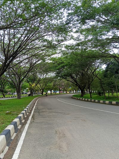 The image depicts a curved asphalt road lined with manicured green grass and bordered by a concrete curb painted with alternating black and white blocks. Towering trees with dense green foliage form an archway over the road, creating a natural canopy. In the distance, several cars are parked, and a person rides a motorcycle on the road. Another person is seen standing on the side of the road. The environment appears to be a park or a well-maintained public area within the city of Meureudu, Indonesia. The lighting suggests it is daytime, possibly overcast due to the soft light and lack of harsh shadows.