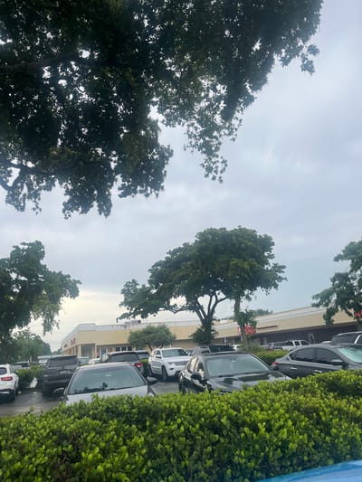 The image depicts a parking lot next to a building, with trees and lush green bushes framing the scene. Several cars are parked in rows, including SUVs and sedans. The building appears to be a commercial establishment, with its storefront visible and signage, including what looks like "The Dental" in red text. The sky is overcast, suggesting a cloudy day, and the lighting indicates it could be daytime, possibly morning or afternoon. The perspective is from a low angle, looking up towards the trees and the sky, with the parking lot and building on the right side of the frame. There are no people visible in the image. The overall setting suggests a typical urban or suburban environment. The presence of lush greenery and trees indicates a location with temperate weather.