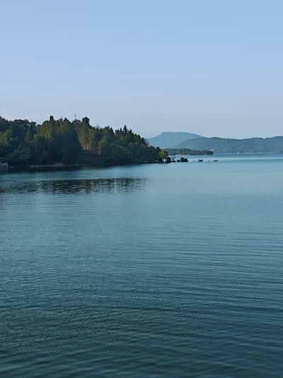 The image shows a wide body of water, likely a lake or a reservoir, with gentle ripples on the surface. The water is a deep teal color. Along the far bank, a dense forest of green trees is visible, with some lighter-colored deciduous trees interspersed with darker evergreens. The forest slopes upwards in some areas, and a small, sandy patch is visible near the water's edge. In the distance, rolling hills and mountains are silhouetted against a clear, pale blue sky. A few scattered structures, possibly buildings or boats, can be seen on the water in the far distance. Power lines are also visible stretching across the trees and over the water. The scene appears tranquil and natural, with no people or specific human activity prominently depicted. The location is stated to be in the city of Kharistvala, Georgia.