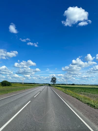 The media file depicts a scene of a road stretching into the distance under a bright blue sky filled with scattered white clouds. The perspective is from a low angle, possibly from a vehicle, looking down the asphalt road which has clear white lane markings. To the left of the road is a grassy verge with some wildflowers, and beyond that, a green field that appears to be agricultural land. A solitary tree stands in the field, and further in the distance, there are hints of buildings and power lines, suggesting a rural or semi-rural setting. The weather appears to be sunny and pleasant, with a clear sky and visible cloud formations. The time of day seems to be daytime, likely midday, given the brightness of the sky and the intensity of the sunlight. The scene conveys a sense of open space and journey. No people or specific activities are visible. The image is oriented vertically, as if the camera was held in portrait mode. There is no visible text in the image. The location context provided is Терволово, Russia.