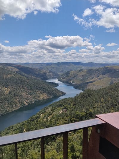 The image depicts a scenic view of the Douro River valley in Alijó, Portugal, under a bright blue sky with scattered white clouds. The river snakes through the landscape, flanked by steep, green hills covered in dense vegetation and terraced vineyards. In the foreground, part of a rusted metal railing is visible, suggesting the viewpoint from which the photo was taken. The overall impression is one of natural beauty and agricultural landscape.