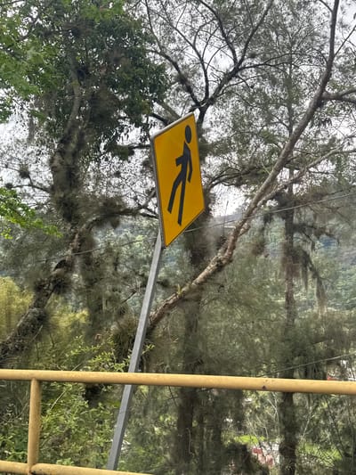 A yellow pedestrian crossing sign with a black silhouette of a walking person is positioned against a backdrop of trees with Spanish moss. The trees' branches are visible, some of which are bare. A metal post supports the sign, and a yellow ladder-like structure is partially visible on the right side of the frame. The location is Jilotepec, Mexico.