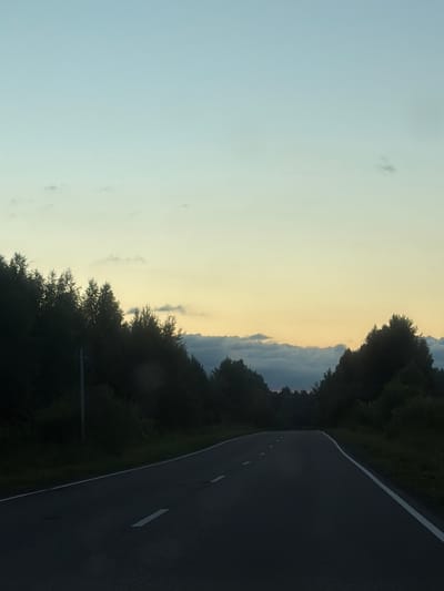 The image depicts a road curving to the right, bordered by dark green trees on both sides. The road surface is asphalt with white dashed lane markings. The sky is a pale yellow at the horizon, transitioning to a light blue at the top of the frame. Scattered clouds are visible in the sky. The trees on the left appear dense and shadowy, suggesting it is either early morning or late evening. The overall scene suggests a quiet, natural setting, possibly a rural road in Russia. There are no people or specific objects visible, other than the road and trees. The light suggests the time of day is either dawn or dusk. There is no visible text in the image.