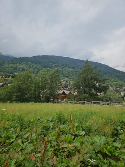 This is a photograph taken in Ponte di Legno, Italy, on a cloudy day. In the foreground, there is a field of tall green grass and large leafy plants. A wooden fence runs horizontally across the middle ground, behind which are several buildings with wooden roofs, characteristic of alpine architecture. To the left of the frame, there is a cluster of lush green trees. A large evergreen tree stands prominently in the center of the mid-ground. In the background, a densely forested mountain slopes upwards, with more buildings visible on its lower slopes and a few scattered buildings higher up. The sky is overcast with gray clouds.