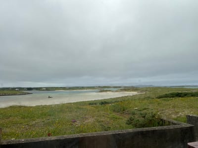 This image depicts a wide-angle view of a coastal landscape, likely in or near Bunbeg, Ireland, under an overcast sky. In the foreground, a weathered concrete structure, possibly a low wall or the edge of a building, runs horizontally across the bottom of the frame. Beyond this structure, a grassy field dotted with numerous small yellow and purple wildflowers stretches towards the water. The field appears to be a natural, untamed environment.
The middle ground features a tranquil body of water, likely a bay or inlet, with a sandy beach visible on the far side. The water exhibits a gradient of colors, from shallow, lighter turquoise near the shore to a deeper blue further out. A small, dark object, possibly a boat or a cluster of rocks, is present in the water. In the background, rolling green hills covered in grass and some vegetation rise from the coastline. Several small white buildings, consistent with rural residences, are scattered across these hills. The horizon is marked by the meeting of the sea and the sky, with the latter being uniformly gray and cloudy. There are no visible people in the image, nor any clear indication of specific activity. The overall scene conveys a sense of peaceful, rural, and natural coastal beauty.