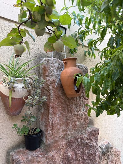 The image shows a close-up view of an outdoor wall in Valdefresno, Spain, adorned with various plants and decorative elements. In the foreground, a large, rough, reddish-brown rock formation serves as a backdrop. To the left, a textured terracotta and cream-colored pot hangs on the wall, containing a spider plant with long, striped green leaves and a trailing succulent with fleshy, grey-green leaves. Below this pot, a small black plastic pot holds another succulent with small, green leaves.
Dominating the center-right of the image is a terracotta amphora-shaped planter with a hollowed-out section, also hanging on the wall, containing a small plant with vibrant green leaves. Above and to the left, a tree branch laden with several small, fuzzy, green fruits hangs down, with large green leaves. To the right, a dense cluster of green leaves from another tree or shrub fills the upper right portion of the frame. The wall itself is a textured, light-colored stucco. The overall impression is a garden or courtyard setting, with a rustic and natural aesthetic.