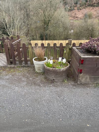 The image shows a scene with a rustic aesthetic, likely situated in the countryside of Shelve, United Kingdom. In the foreground, there is a weathered wooden fence of varying shades of brown. Adjacent to the fence are several planters: a large wooden planter box with reddish-purple foliage, a half-barrel planter with white flowers and green foliage, and a smaller, cylindrical concrete planter with tan grass-like plants. The planters are positioned on a grey gravel or asphalt surface. Beyond the fence is a view of trees, appearing bare or sparsely leaved, characteristic of a late autumn or winter season. The background landscape includes a hillside, suggesting the location is in a rural or semi-rural area. There is no immediate sign of people or prominent buildings.