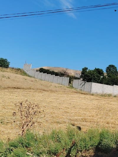 The image depicts a sunlit outdoor scene in Kangli, Uzbekistan, dominated by a landscape of dry, golden fields and a clear blue sky. A textured, grey concrete wall runs diagonally across the middle ground, separating the fields from a hillside dotted with trees and vegetation. The wall appears to be a retaining wall or a boundary marker, constructed from regularly spaced concrete blocks. In the foreground, a patch of green bushes and a dry, thorny plant add textural contrast to the predominantly golden hues of the harvested fields. The sky above is a vast expanse of uninterrupted blue, with only faint wisps of white clouds visible. Power lines are strung across the upper portion of the frame, hinting at the presence of infrastructure. There are no people visible in the image, and the scene appears tranquil and unpopulated. The overall impression is one of a rural or semi-rural setting, characterized by agricultural land and natural elements under a bright, clear sky.