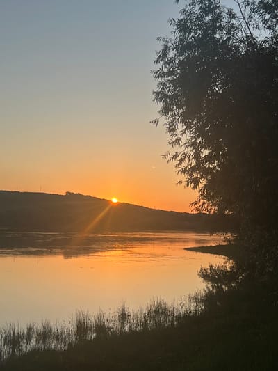 This is a photograph of a sunset over a body of water. The sun is low on the horizon, casting a warm orange glow across the sky and reflecting on the water. A tree with dark foliage is visible in the foreground on the right side of the image, partially obscuring the view of the water and the landscape beyond. The opposite bank of the water features a sloping hill, silhouetted against the bright sky. Reeds or tall grasses are growing along the water's edge in the foreground, adding texture to the scene. The sky transitions from a pale blue at the top to a warm orange near the horizon. The photograph appears to capture a serene natural landscape. The location in Dubăsari town council, Moldova, suggests this is likely a view of the Dniester River at sunset.