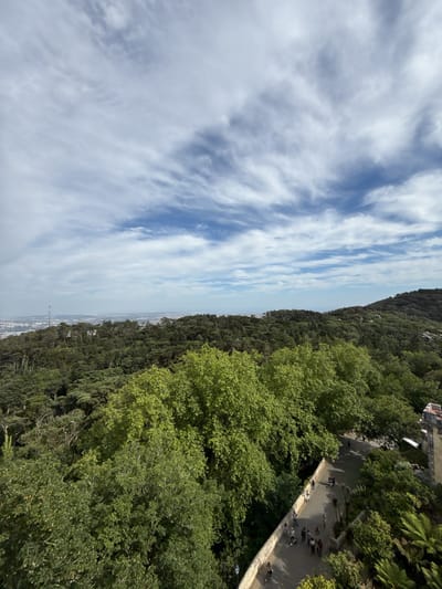 The image captures an elevated view within the Sintra region of Portugal. Lush, green vegetation dominates the foreground and midground. A paved pathway runs through the forest, lined by a low stone wall, and pedestrians are visible walking along the path. Beyond the forest, the cityscape extends into the distance under a sky patterned with light clouds.