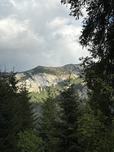 The image shows a mountain framed by trees. The mountain is predominantly gray and white, possibly due to rock formations or snow cover, with patches of green vegetation. The sky is overcast with gray and white clouds. The trees in the foreground are dense and green, creating a natural frame for the mountain view. The location is in Brzegi, Poland.